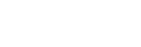 Paragon Solutions ________________________________________________________________________________   Executive Consulting  -  Project Development